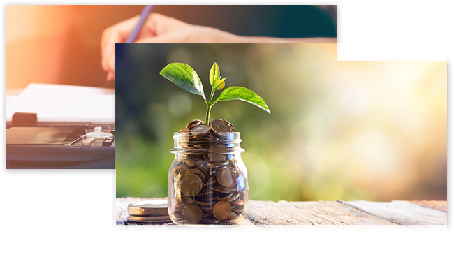 сайт на готовом решении