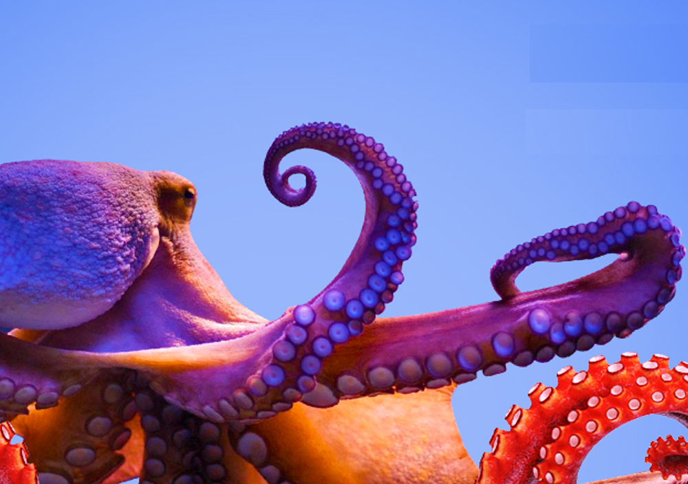 Восьми-скидки на Битрикс24